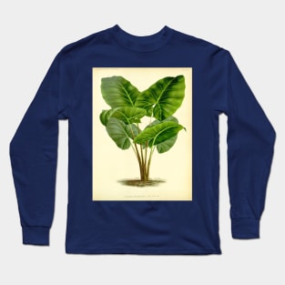 Alocasia Villeneuvei - Gyselnyck - Botanical Illustration Long Sleeve T-Shirt